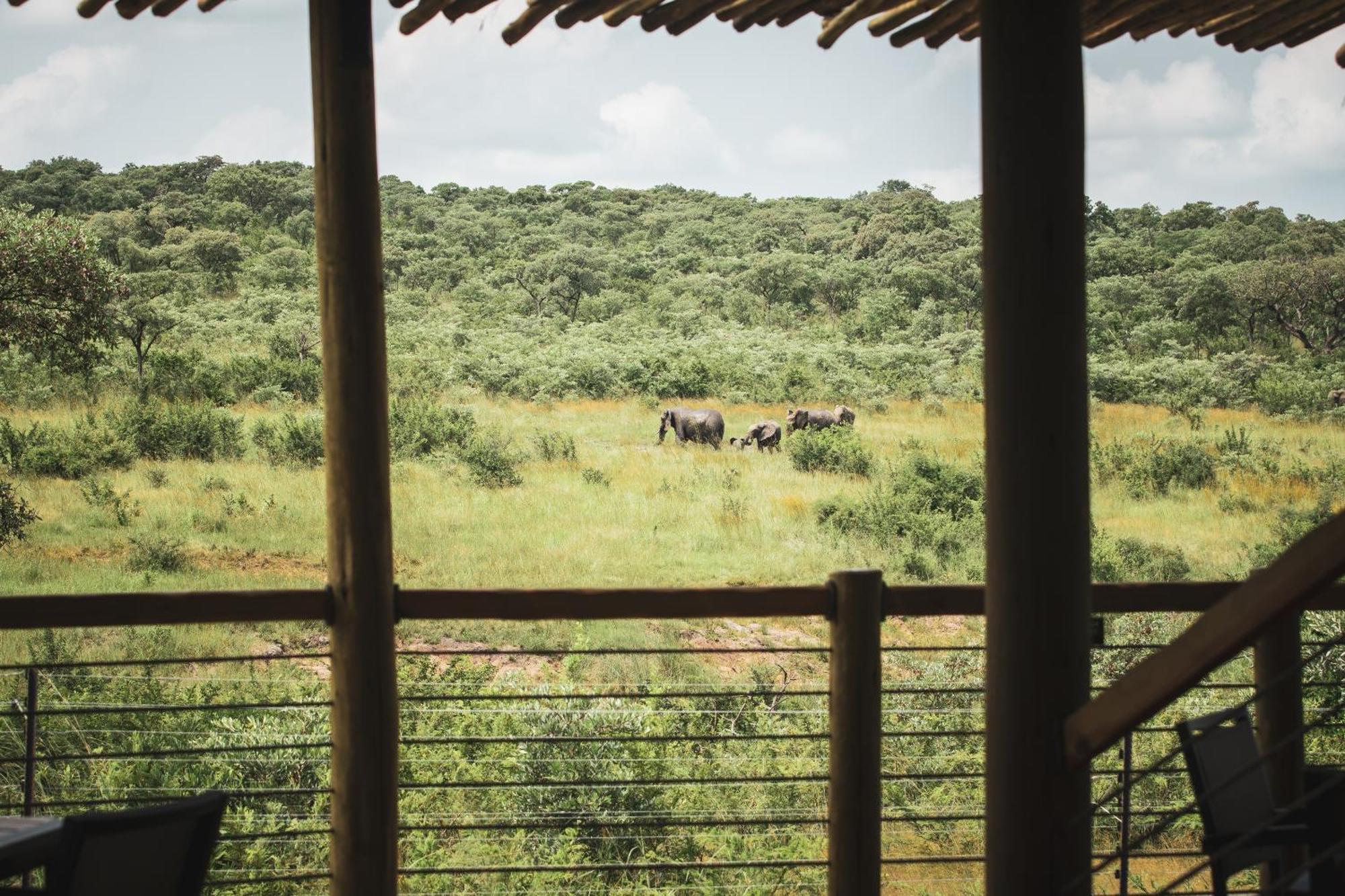 Mdluli Safari Lodge Hazyview Esterno foto